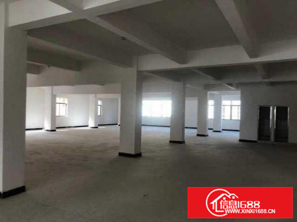 出租横沥神山工业城对面全新改造厂房分租多种面积大小可选