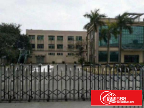 万江现有2000平方左右厂房招租分租环境优美，靠近大马路！