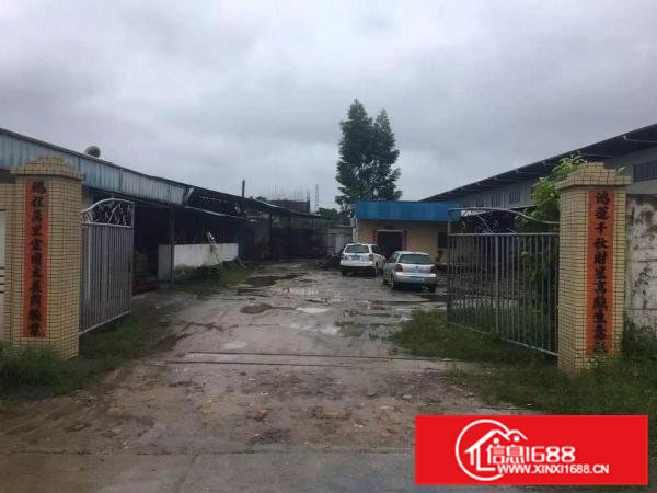 常平镇新出独院单一层铁皮650平米有宿舍