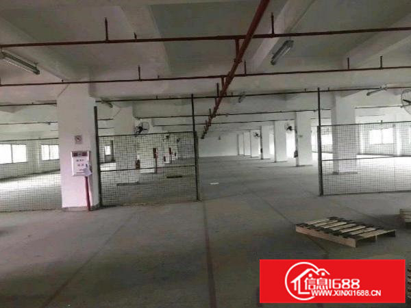 标准厂房一楼600平米招租