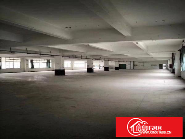 横岗独院6400原房东带豪华装修厂房出租