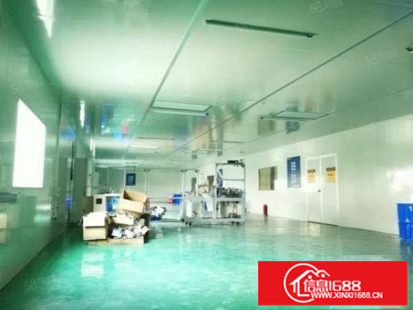 无尘车间厂房出租龙岗中心城厂房招租十万级无尘车间550平