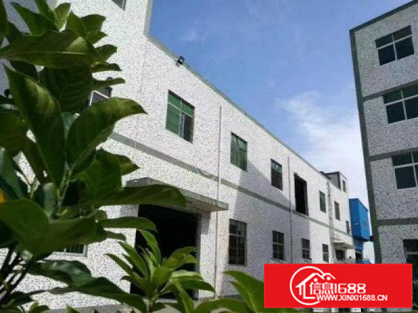 成熟工业区一楼厂房）凤岗油甘埔1500平米厂房出租