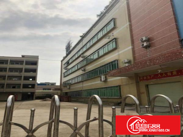 园洲厂房出租小独院标准厂房国有地正件齐全，可办环评