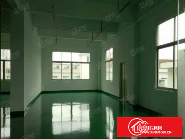 常平木伦（超大前台豪华装修）电商电子二楼650平