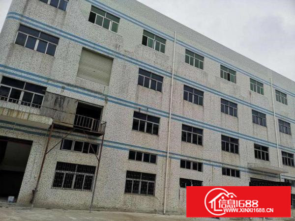 凤岗镇油甘铺原房东独院8000平方米出租