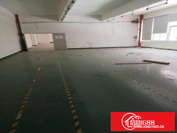 坂田地铁口,精装写字楼、厂房,业主急租!