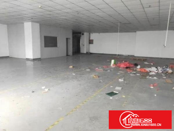 光明上村莲塘一楼320平精装修厂房，无转让费，适合办公贸易