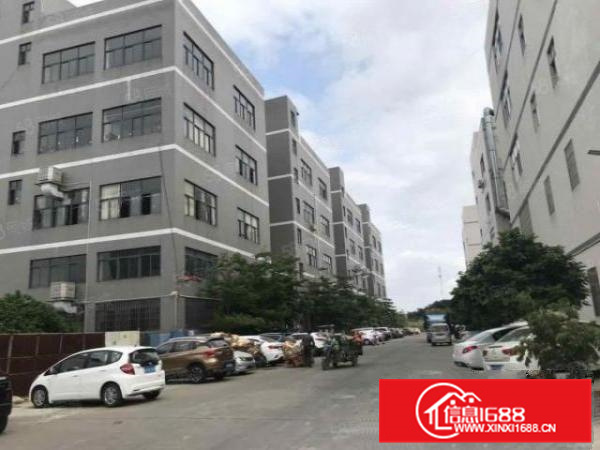 厂房出租佛山市南海区九江标准厂房招租红本原房东，可办环评