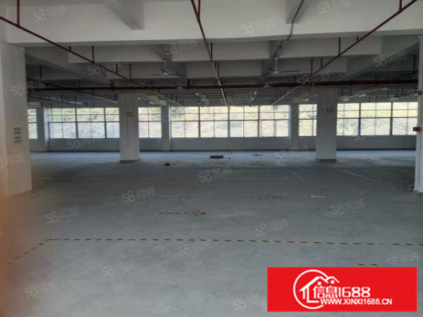 金凤凰原房东独门独院10000平方800平方起租