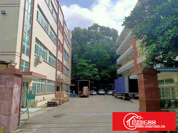 凤岗镇新出精装修独院厂房总面积6500平方出租