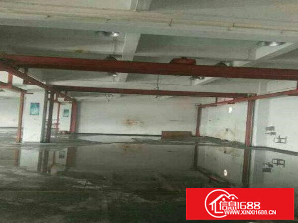 龙岗区南约新出一楼500平，带行车厂房出租