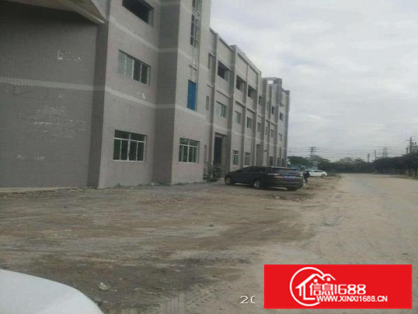 万江一楼仓库出租楼上厂房办公楼招租