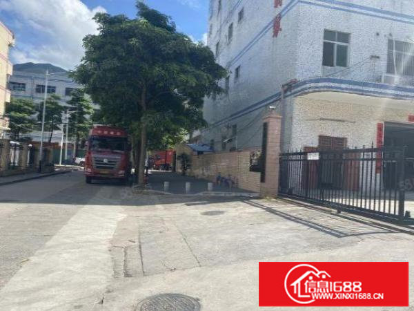 横岗西坑社区独门独院厂房宿舍8000平方