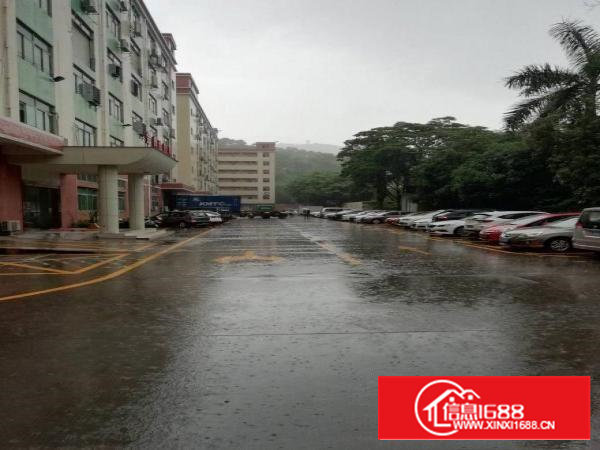 洲石路九围工业园区新出一楼900平厂房招租面积实在