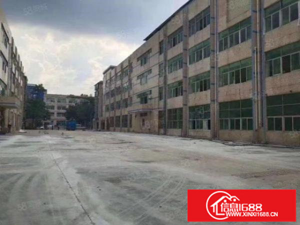 平湖独门独院厂房43600平方整租22元适合各行各业