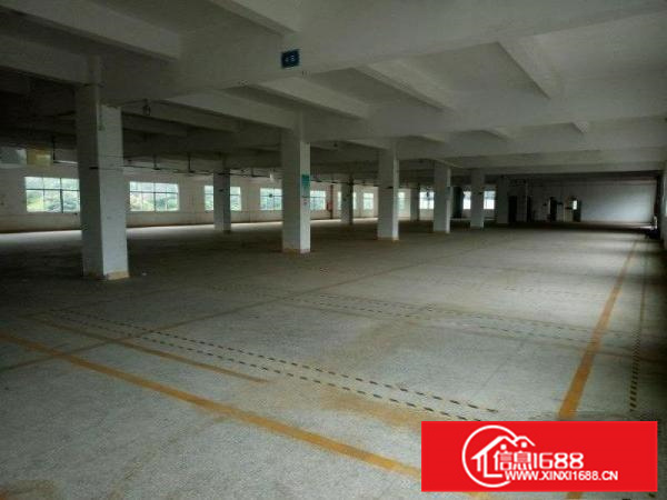 惠阳新圩新出独院10000平形象好空地大可分租