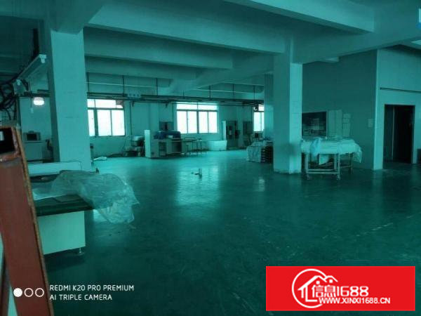 东坑原房东标准二楼1000平，零公摊，价格便宜