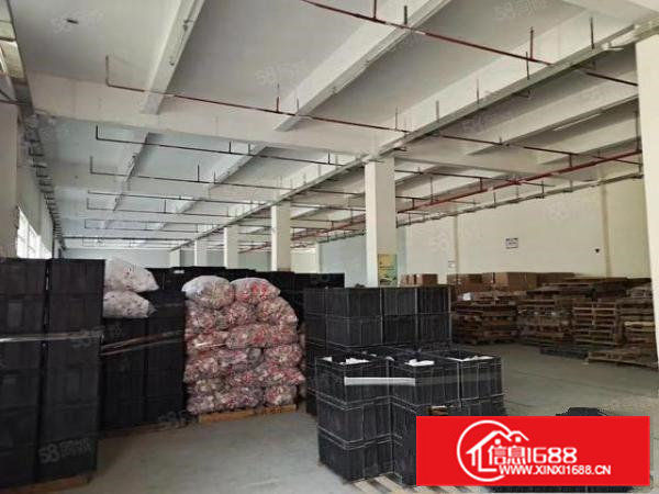 横沥新出国有证独门独院厂房出租