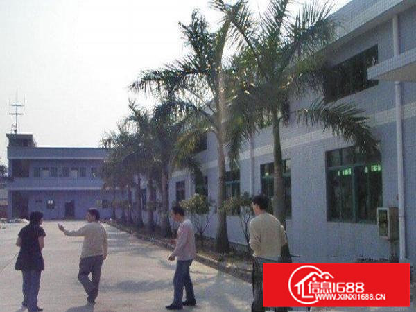 桥头2500平方米单一层铁皮厂房招租租金实在