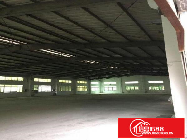 高埗独门独院单一层厂房1300平方出租电315,空地1000