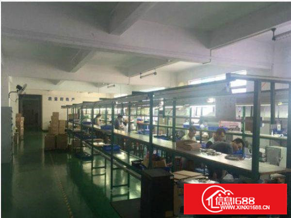 常平司马村楼上900平米带装修厂房直租配套齐全