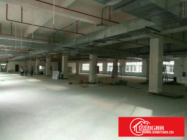 形象好的工业区1出租）金凤凰2000平米6米高1