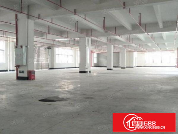 Y杏坛全新楼层式2000方厂房出租;带3台电梯可过
