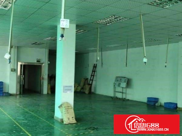 爱联三楼1200平招租独门独院水电办公室齐全