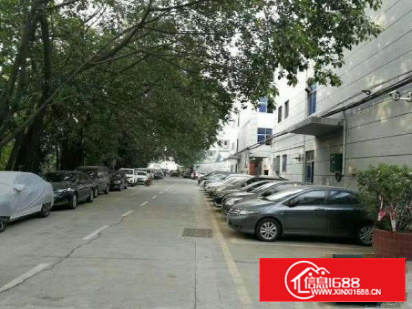 黄田独院三层3000平带装修招租