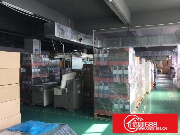 丹竹头地铁站旁办公/仓库300至750平招租