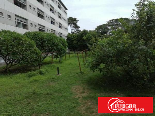 石碣原房东宿舍改厂房（改造中）出租：