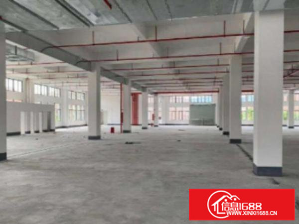 高埗标准独院厂房5800平方出租