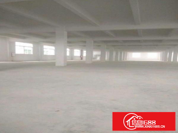 南海里水全新标准厂房8500平米出租交通方便独门独院