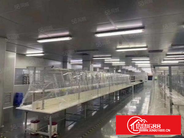 沙井西部大型园区1900平无尘车间