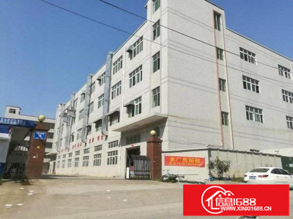 原房东厂房碧岭工业区5800平米独院厂房出租