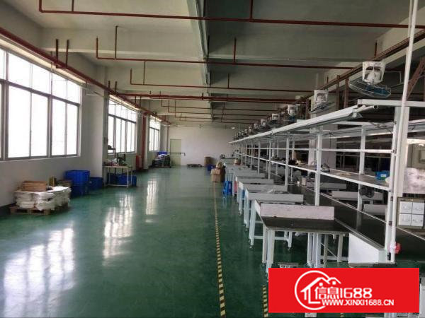 凤岗竹塘刷绿色地坪漆厂房出租1500平水电齐全