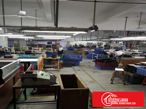 出租龙岗区横岗带电梯工业厂房可分租手袋相关行业优先