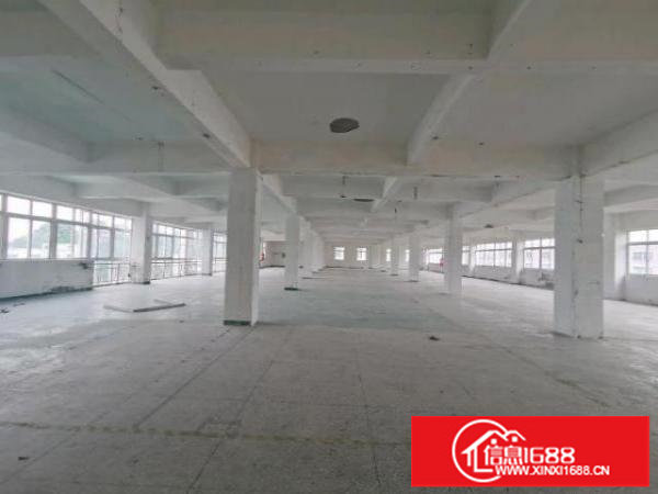 龙华大浪华霆路旁，花园式园区，交通便利，停车位充足，超大空地