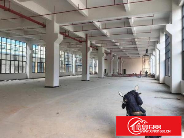 独门独院独门独院，独立变压器，已空置