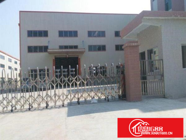 茶山独院钢构厂房4000平方滴水9米高