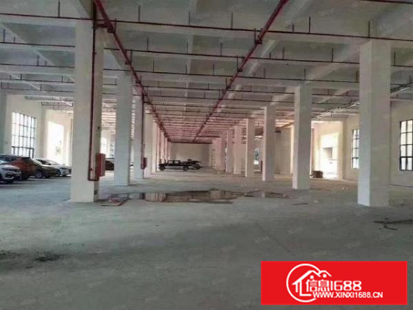 桥头东江村新出一楼1200平方厂房招租