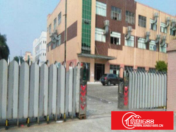 高埗独院标准厂房一楼1500平方出租适合做设备、五金塑胶等行