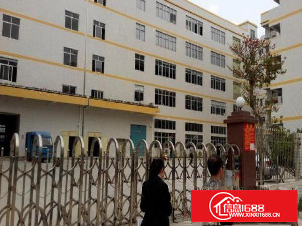 花园式独门独院厂房出租厂房5层单层面积2000