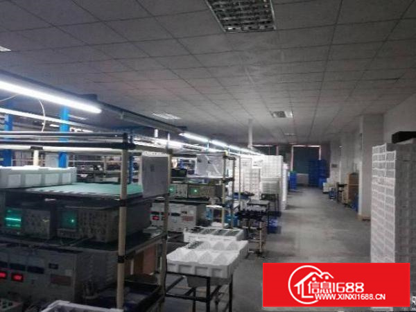 惠州仲恺区原房东一楼标准厂房出租带豪华装修