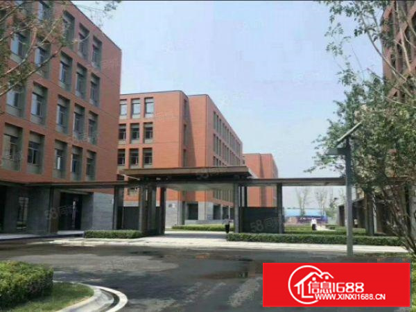 狮山全新工业园厂房招租，56000方，可分租，配套一应俱全