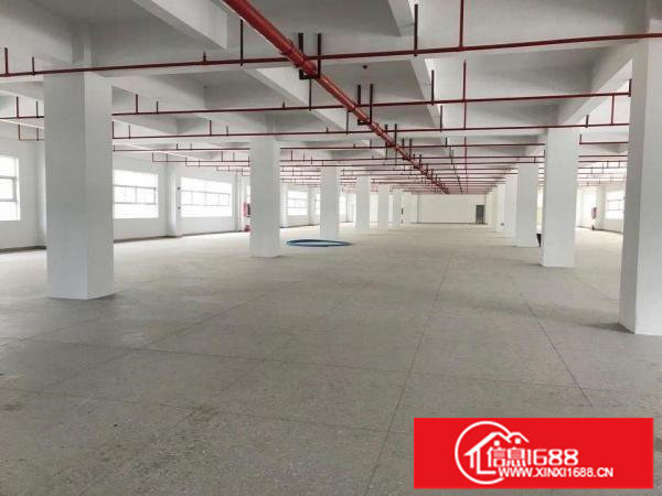 龙岗中心城花园式全新工业园厂房出租300平米起分租