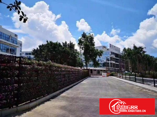 业主直租布吉万科红附近120一6000平米厂房大小面积出租