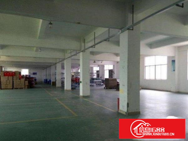 清溪青皇原房东厂房1500平整层带装修厂房出租