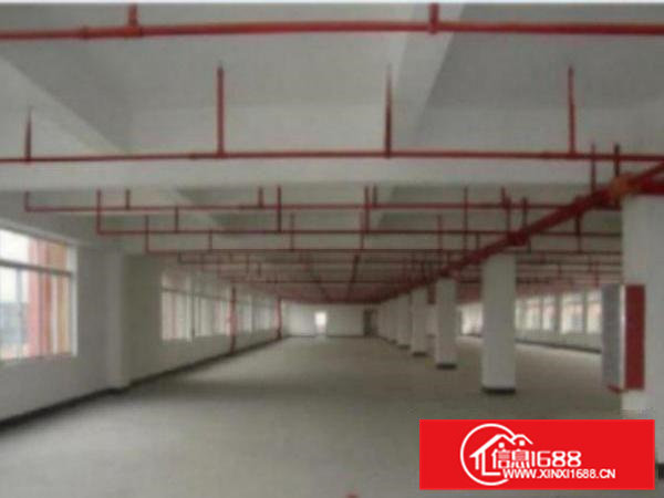 高埗标准一楼厂房500-5000平米低价招租可装行车,成熟工